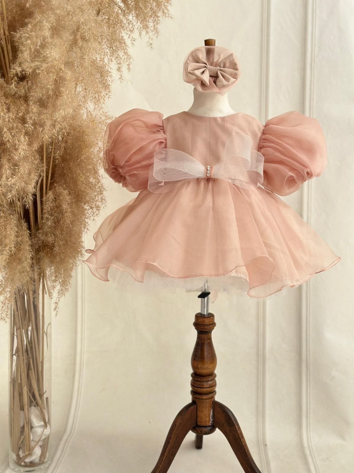 Blush Pink Organza Birthday Dress for Baby & Toddler Girls | Puffy Sleeve Special Occasion Outfit
