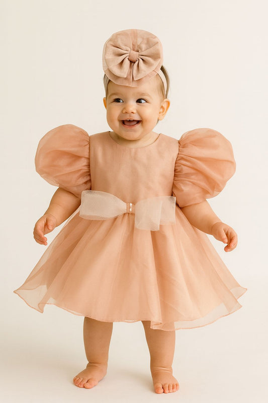 Blush Pink Organza Birthday Dress for Baby & Toddler Girls | Puffy Sleeve Special Occasion Outfit