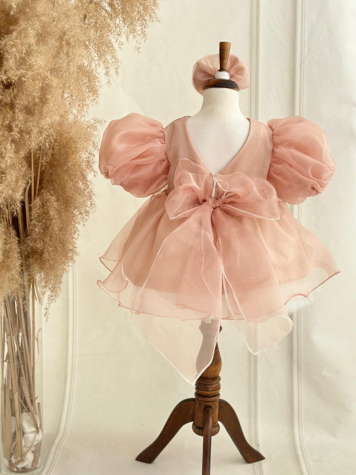 Blush Pink Organza Special Occasion Dress for Baby & Toddler Girls | Pearl Detail