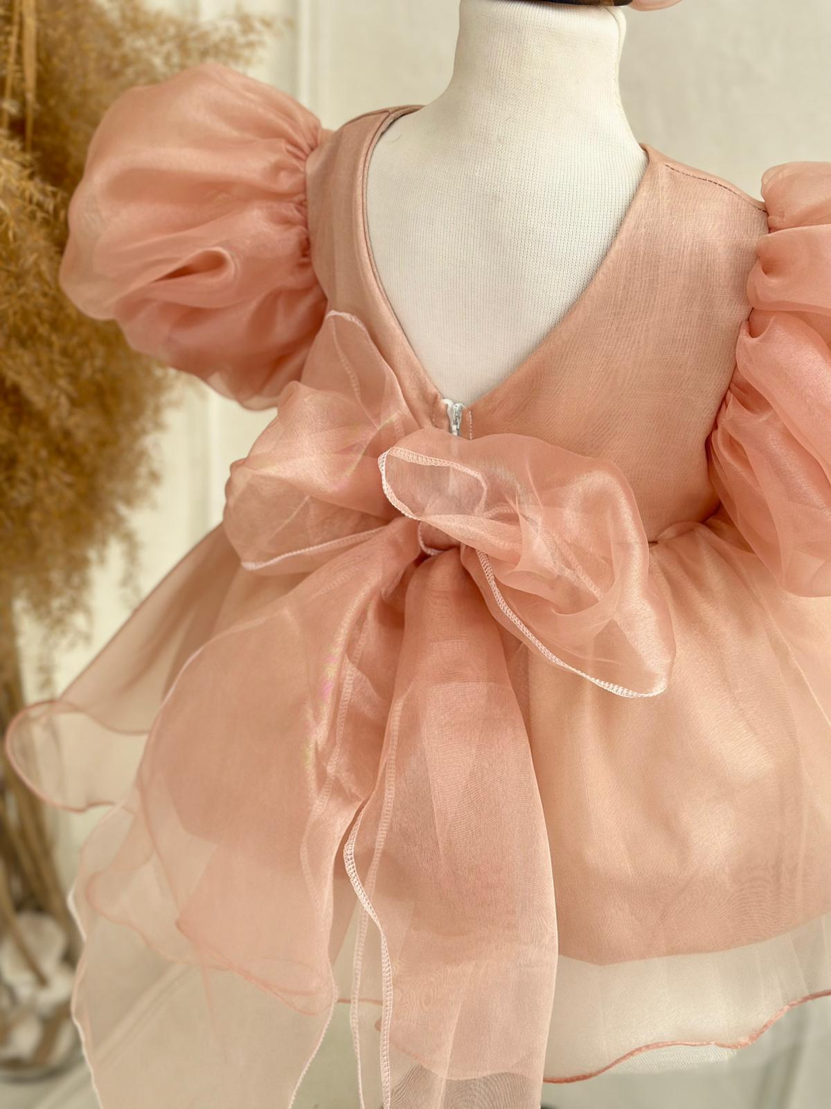 Blush Pink Organza Birthday Dress for Baby & Toddler Girls | Puffy Sleeve Special Occasion Outfit