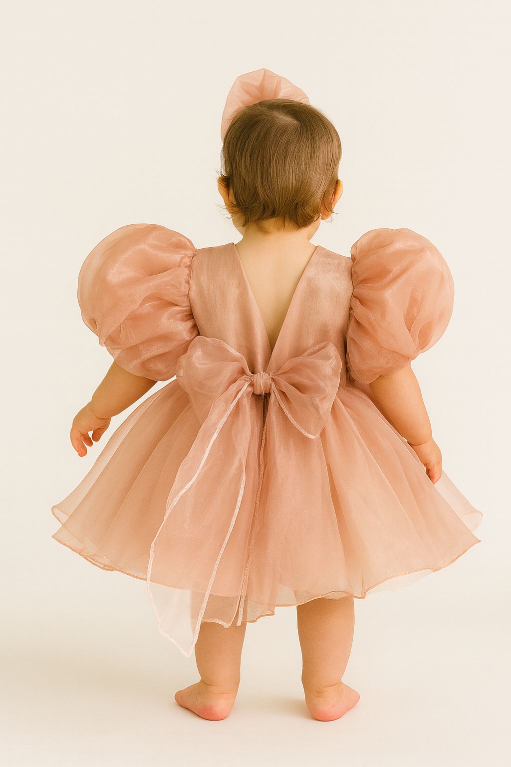 Blush Pink Organza Birthday Dress for Baby & Toddler Girls | Puffy Sleeve Special Occasion Outfit